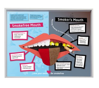 Smokefree and Smoker's Mouth